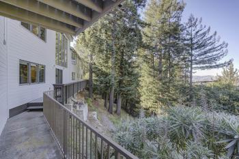 Mt. Tamalpais executive residence balcony and trees