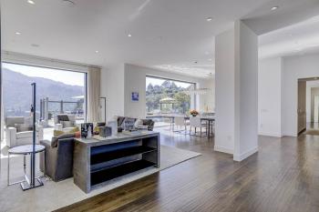 Mt Tam View living room & landscape